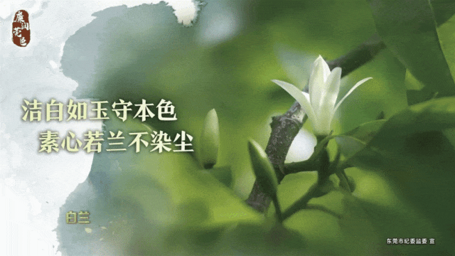 篮球球感训练的重要性_1